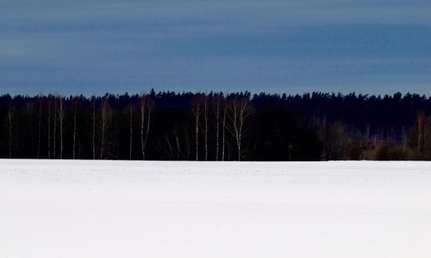 Ilusat kodumaa sünnipäeva!